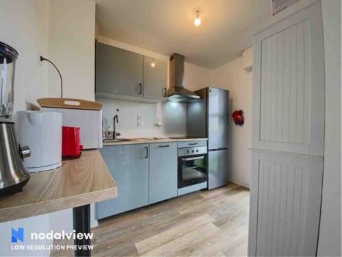 Il comprend une cuisine avec des appareils en acier inoxydable et du parquet. dans l'établissement Appartement au bord du lac, à Tours