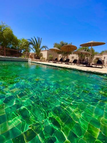 a swimming pool with turquoise water and umbrellas at Riad Pura Vida II in Essaouira