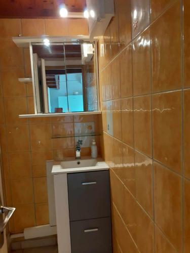 une petite salle de bain avec un lavabo et un miroir dans l'établissement Le Cap'tivant, au Cap d'Agde