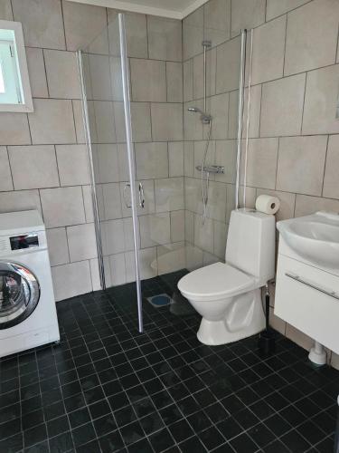 a bathroom with a shower and a toilet and a sink at Villa Fridhem in Vaggeryd