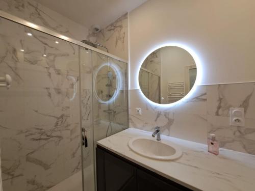 une salle de bain avec un lavabo et un miroir dans l'établissement Orlando - Cocon Haussmanien en centre-ville, à Reims