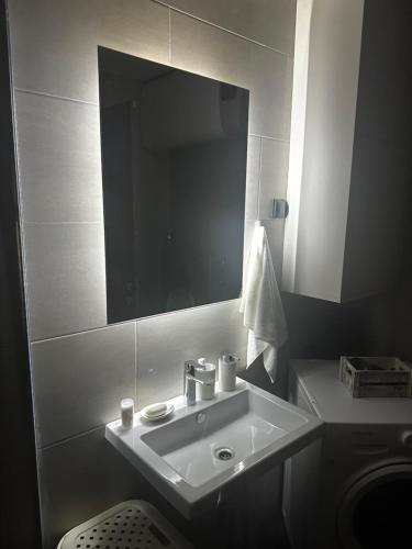 une salle de bains avec un lavabo et un miroir dans l'établissement Hill Apartment, à Podgorica