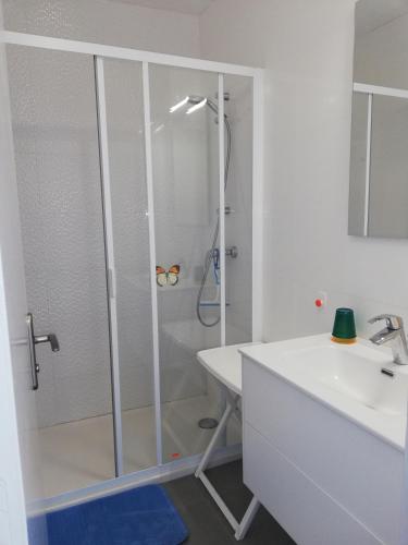 une salle de bain blanche avec une douche et un lavabo dans l'établissement Superbe appartement avec vue sur mer et port, parking privé, à Saint Pierre La Mer