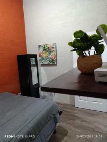 a bedroom with a table with a potted plant on it at Hermosa Casa Peatonal Las Campanas in Tegucigalpa