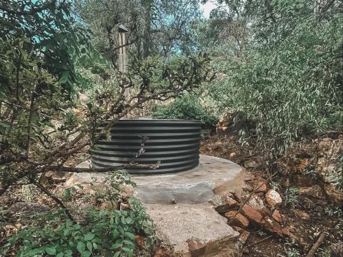 a bench sitting in the middle of a forest at Thaba eNtle Private Boutique Game Farm in Thabazimbi