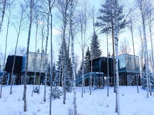 Silver Birch Resort Lapland v zimě