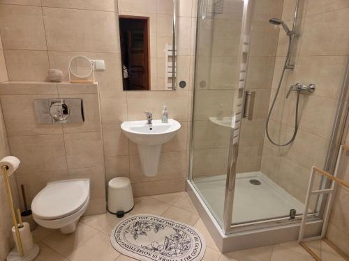 a bathroom with a shower and a toilet and a sink at Apartament Kasprowy in Kościelisko