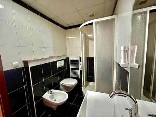 a bathroom with a toilet and a sink at Prenoćište Euro-Jet Ćoralići in Ćoralići