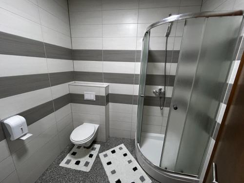 a bathroom with a shower and a toilet at Prenoćište Euro-Jet Ćoralići in Ćoralići