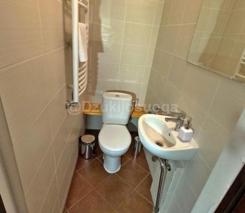 a small bathroom with a toilet and a sink at Dzūkijos uoga in Viršurodukis