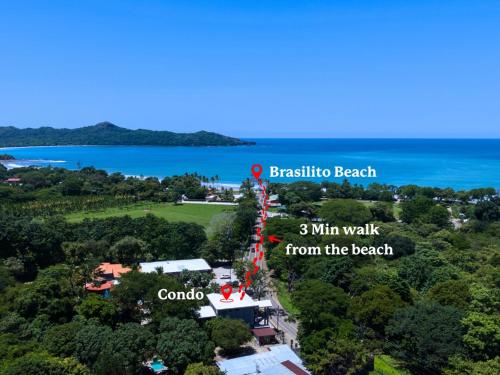 an aerial view of the beach and the ocean at Suite 4 Sloth - Pool&Beach 3 BR Condo in Brasilito
