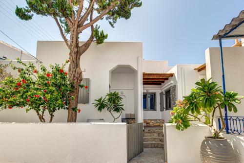 Silver Apartment Ammos