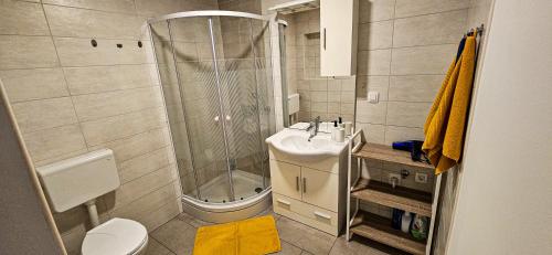a bathroom with a shower and a sink and a toilet at Rezidenca Erjavec in Notranje Gorice