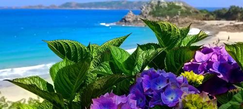 a bouquet of flowers in front of the beach at An Doenn Du in Bégard