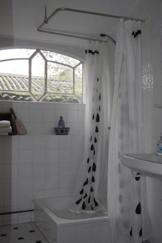 a bathroom with a shower curtain and a sink at Atelier La Luna in Berkenwoude