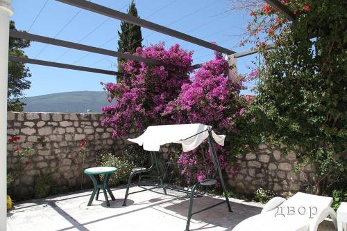 Family Vacation Rental Appartment near Herzig Novi