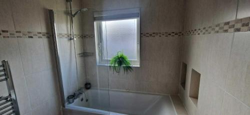 a bathroom with a tub and a shower and a window at Refurbed Modern & Stylish 3BD - Garden Pets OK in Dublin