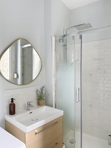 une salle de bain avec un lavabo et une douche avec un miroir dans l'établissement Vesle- Hyper Centre - 2 Chambres, à Reims