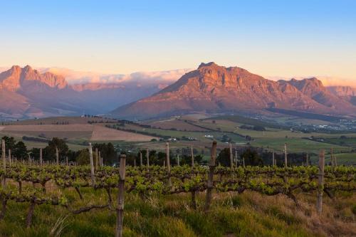 Fotografie z fotogalerie ubytování Domaine Coutelier v destinaci Stellenbosch