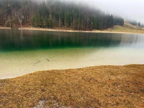 a large body of water with trees in the background at Haus Tutsi in Sankt Ulrich am Pillersee