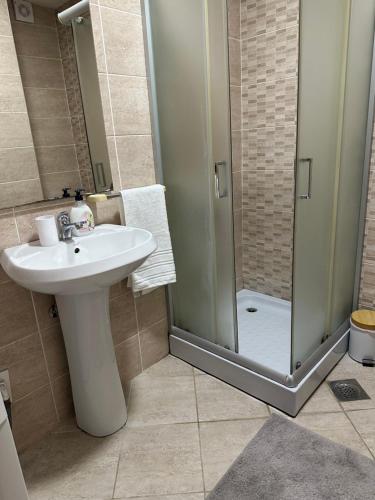 Un baño con lavabo y ducha en Stan u centru Niša, Obilićev venac, en Niš
