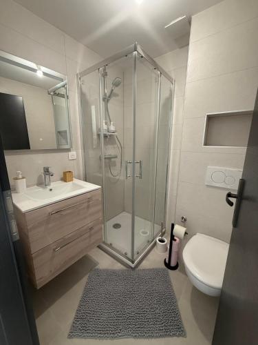 une salle de bain avec une douche, un lavabo et des toilettes dans l'établissement Le Comte - Studio, à Belfort