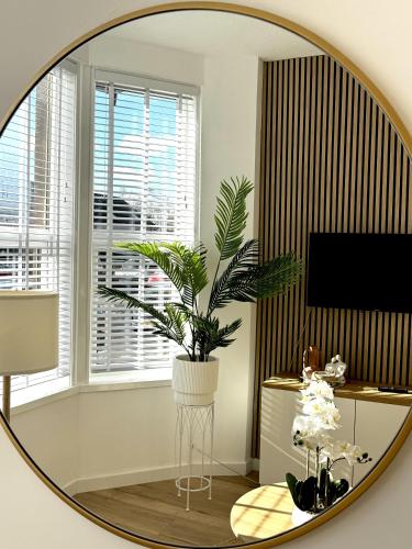 a mirror in a living room with a plant at Castlegreen Lux Apartment in Dumbarton