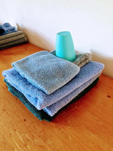 a pile of blue towels sitting on a wooden floor at Bungalow Buitenlui in Molenschot