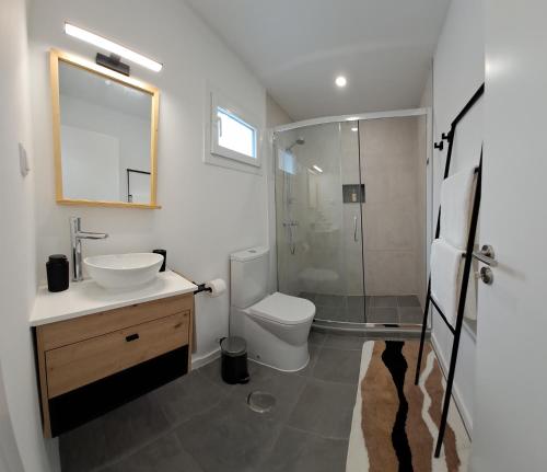 a bathroom with a toilet and a sink and a shower at PenaWoods in A dos Cunhados