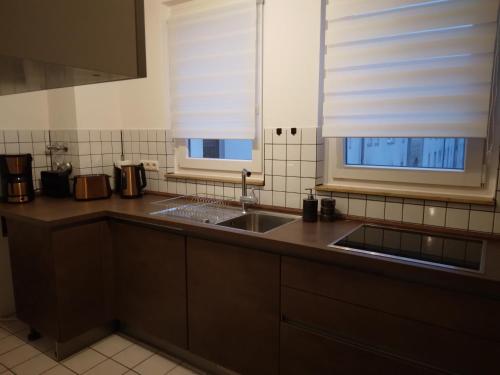 Una cocina con fregadero y dos ventanas. en Luxury Apartment MESSE, en Hannover