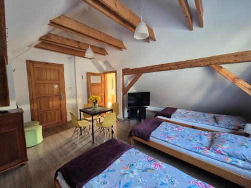 a bedroom with two beds and a table with a television at Kwatery u Jarka z ogrodem i parkingiem in Jelenia Góra