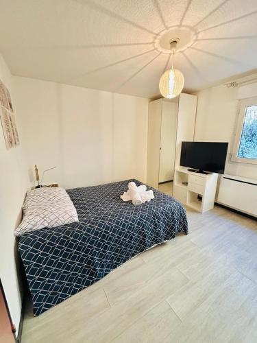 une chambre avec un lit et une télévision à écran plat dans l'établissement Studio Thermotel 208, à Saint-Martin-dʼUriage