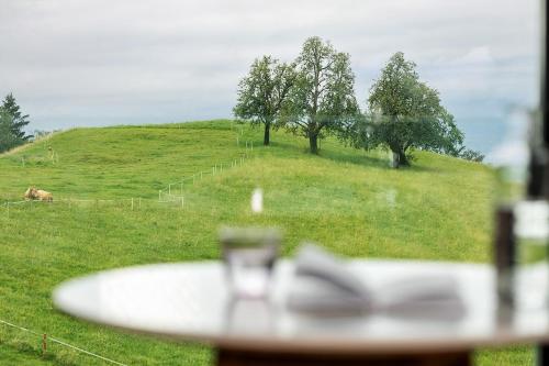 a view of a field with a cow on a hill at Design-Chalet mit Teilseeblick, Pool, Spa & Restaurant in Lochau