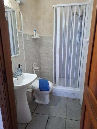 a bathroom with a toilet and a sink and a shower at LA TERRAZZA SUL MARE camera fronte mare&vicino aereoporto SICILIAN VINTAGE STYLE SEASIDE ROOM in Cinisi
