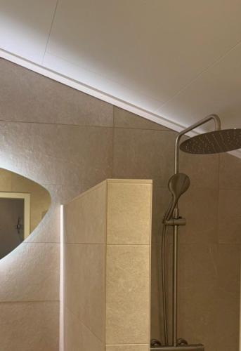 a bathroom with a shower with a shower head at Brunninkhuizerbeek in Hezingen