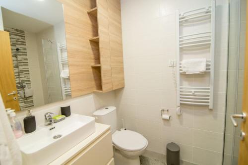a bathroom with a toilet and a sink and a mirror at Zlatiborski Konaci in Zlatibor