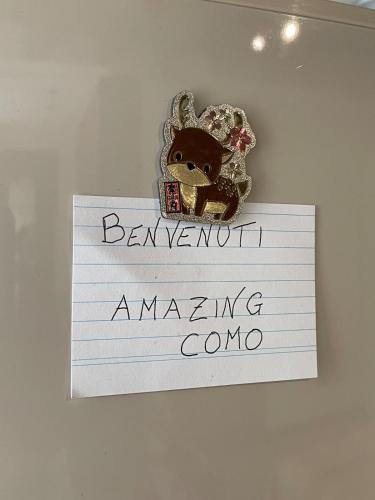Foto dalla galleria di Amazing Como a Como