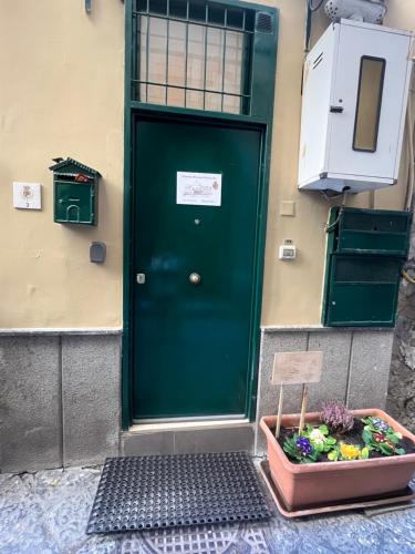 a green door with a box of flowers in front of it at Casetta Piazza Plebiscito in Naples