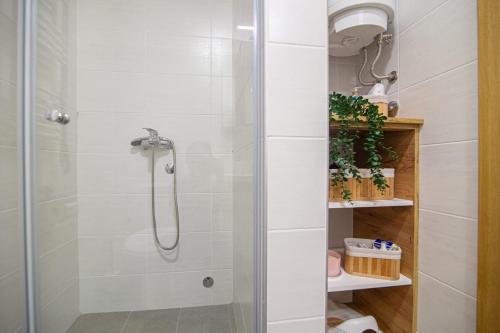 a shower with a glass door in a bathroom at Zlatiborski Konaci in Zlatibor