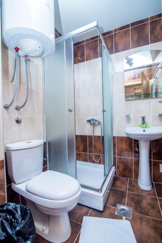 a bathroom with a toilet and a shower and a sink at Zlatiborski Konaci in Zlatibor