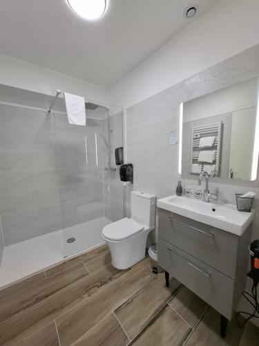 a bathroom with a toilet and a sink and a shower at Les Bruyeres in Plélan-le-Grand