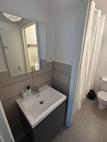 une salle de bain avec un lavabo et un miroir et des toilettes dans l'établissement Appartment Doutre-2e étage, à Angers