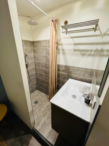 une salle de bain avec un lavabo et une douche dans l'établissement Les loges de la Mairie, à Bourg-lès-Valence