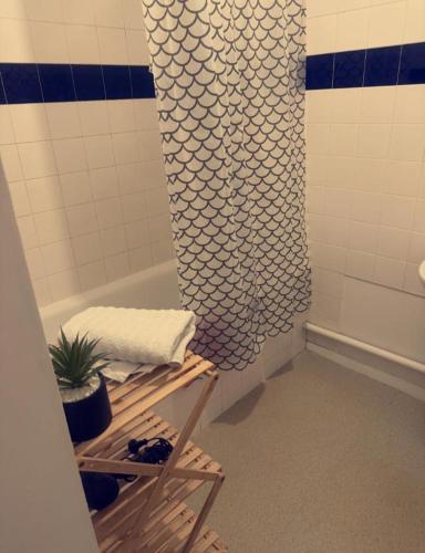 La salle de bains est pourvue d'une douche avec une plante sur une étagère. dans l'établissement Appartement avec balcon a 2 pas la gare, à Villefranche-sur-Saône