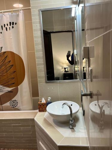 a bathroom with a sink and a mirror and a tub at Fully furnished 2 bedroom apartment in Accra
