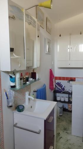 une cuisine avec des placards blancs et un comptoir blanc dans l'établissement UNE MAISON SUR UNE PRESQU'ILE, à Port-Saint-Louis-du-Rhône