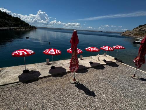 Apartment Tribanj Florida