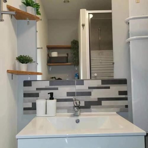 une salle de bain avec un lavabo et un miroir dans l'établissement Appartement montagne, à Saint-Bonnet-en-Champsaur