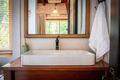 a bathroom with a white sink and a mirror at The Cottage at Forest Inn in Douglas