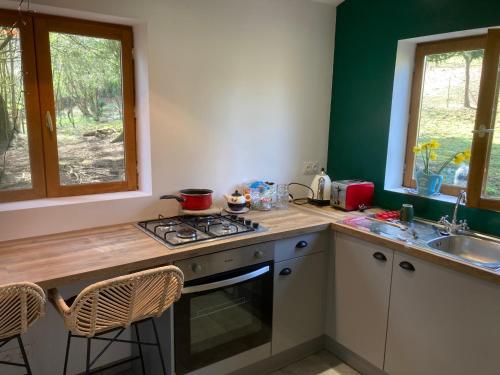 Il comprend une cuisine avec une cuisinière et un évier. dans l'établissement La Petite Cavee, à Saint-Sauveur-de-Chaulieu